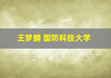 王梦麟 国防科技大学